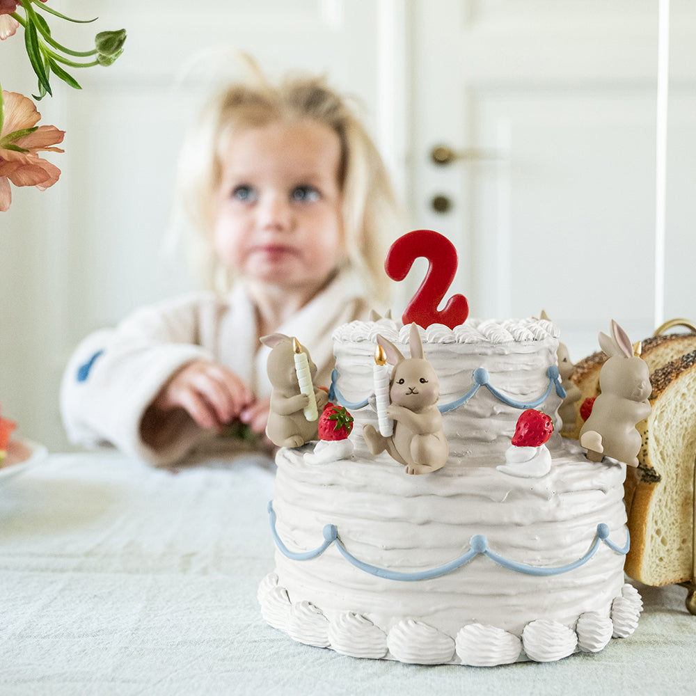 That`s Mine | Sayo Bursdagskake pynt - Kaniner