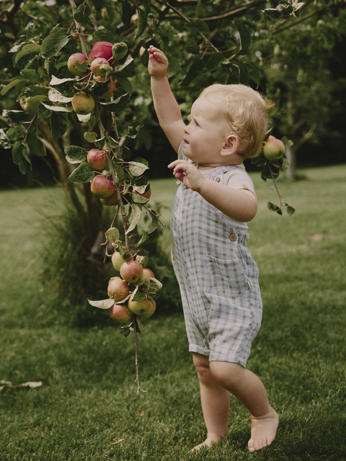 Lil Atelier Baby | Joey Kort seleshorts i bomull - Bleached Sand