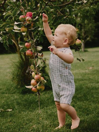 Lil Atelier Baby | Joey Kort seleshorts i bomull - Bleached Sand