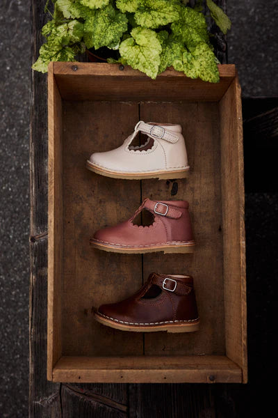 Petit Nord | T-Bar Scallop - Cream